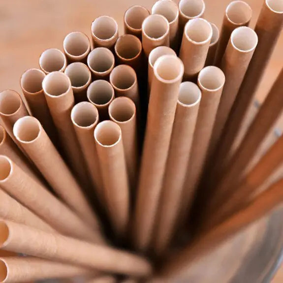 Para crear un mundo verde, los plásticos también necesitan un desarrollo sostenible